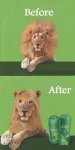 shampoo.jpg
