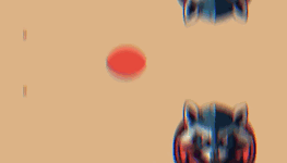 U9MDiOX.gif