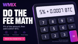 Fee Examples for Different Order Sizes: Official Guide | WMIX