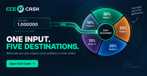 Deep Exchange for portfolio allocation: one input, up to five destinations: Step-by-Step Guide