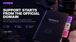 How to Handle Support Starts from the Official Domain on WMI