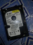 wd 80.jpg