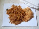 kecil.JPG