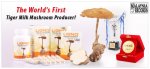 main-slider-world-first-ligno_amend-960x440.jpg