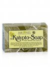eukalyptosoap.jpg