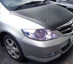 carbont-bonnet-sticker-2.jpg