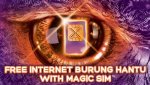 burung-hantu.jpg