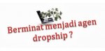 dropship2-620x300w.jpg