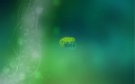 suse wall.jpg