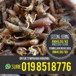 update sotong kering.jpg