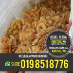 update udang kering.jpg