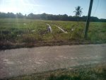 IMG-20171119-WA0011.jpg