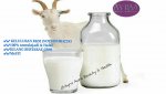 SUSU KAMBING.jpg