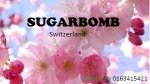 blossom.jpg