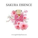 sakura.jpg