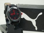 PUMA1.jpg