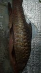 IMG-20181203-WA0010.jpg