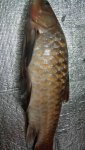 IMG-20181203-WA0011.jpg