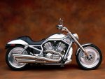 2002 Harley Davidson V-Rod.jpg