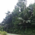 Tanah Untuk Di jual Segera