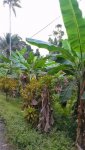 Tanah Untuk Di jual Segera