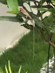 Blog 2 test