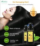 mokeru_ginger_essence_black_hair_shampoo_best_mothers_day_gift_1524971149_f5b6e320.jpg