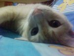 DSC00956.JPG