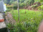 photo_2020-06-03_08-27-28.jpg