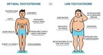 8 Proven Ways to Increase Testosterone Levels Naturally for Men Over 40