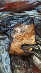 Muntah ikan paus 12kg.jpg
