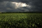 wallpaper-4643.jpg