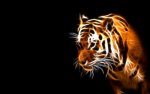 wallpaper-359889.jpg