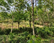 IMG_20210926_084350_722.jpg