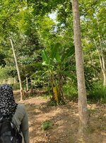 IMG_20210926_084345_909.jpg