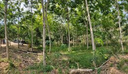 IMG_20210926_084340_461.jpg