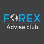 Daily Forex & Gold Market News