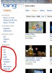 bing.JPG