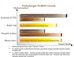 Takaful ummah1.jpg