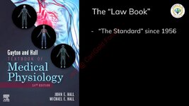 Your Doctor Is Wrong About Weight Loss.mp4_snapshot_04.39.537.jpg