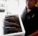 PC131207-300x286.jpg