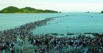 laut terbelah 1.jpg