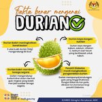 Fakta Benar Mengenai Durian ✅