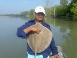 pari 2.9 kg.jpg