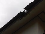 IMG00121-20111028-1458.jpg