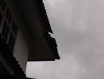 IMG00122-20111028-1459.jpg