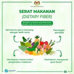 Serat Makanan