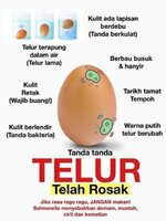 Tanda-Tanda Telur Telah Rosak