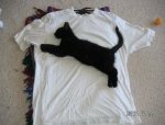puma ori.jpg
