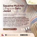 Sesama Mukmin Umpaman Satu Jasad